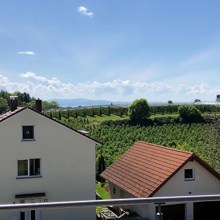 Haus Lauria Leilighet Kressbronn am Bodensee Eksteriør bilde